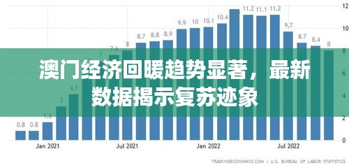 澳门经济回暖趋势显著，最新数据揭示复苏迹象