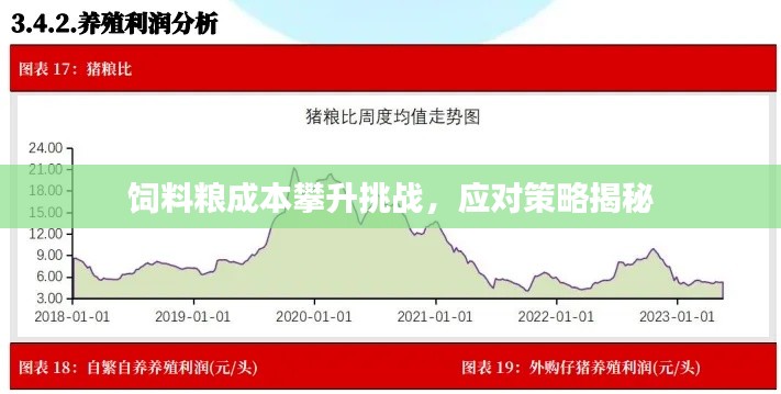 饲料粮成本攀升挑战，应对策略揭秘