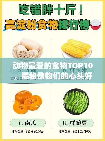 动物最爱的食物TOP10，揭秘动物们的心头好榜单