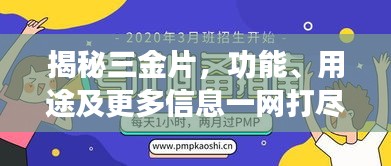 揭秘三金片，功能、用途及更多信息一网打尽！