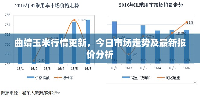 曲靖玉米行情更新，今日市场走势及最新报价分析