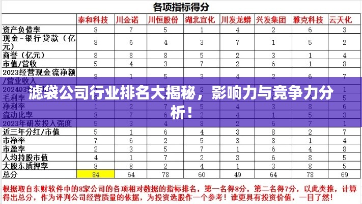 滤袋公司行业排名大揭秘，影响力与竞争力分析！