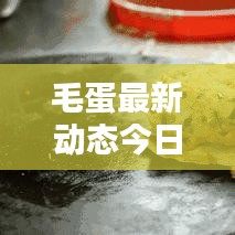 毛蛋最新动态今日揭秘