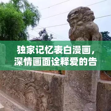 独家记忆表白漫画，深情画面诠释爱的告白