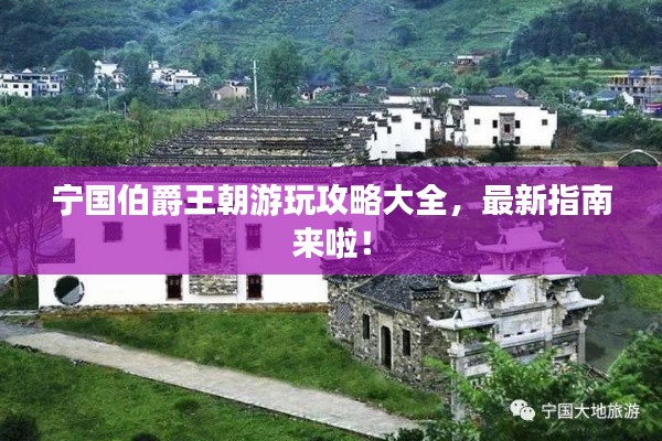 宁国伯爵王朝游玩攻略大全，最新指南来啦！