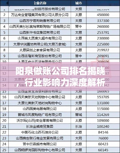 阳泉做账公司排名揭晓，行业影响力深度解析