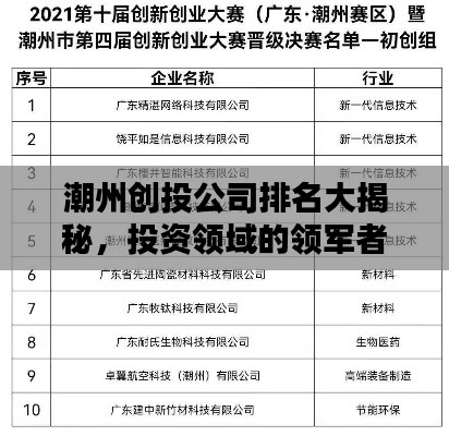 潮州创投公司排名大揭秘，投资领域的领军者探索