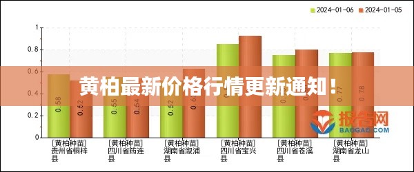 黄柏最新价格行情更新通知！