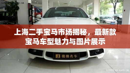 上海二手宝马市场揭秘，最新款宝马车型魅力与图片展示