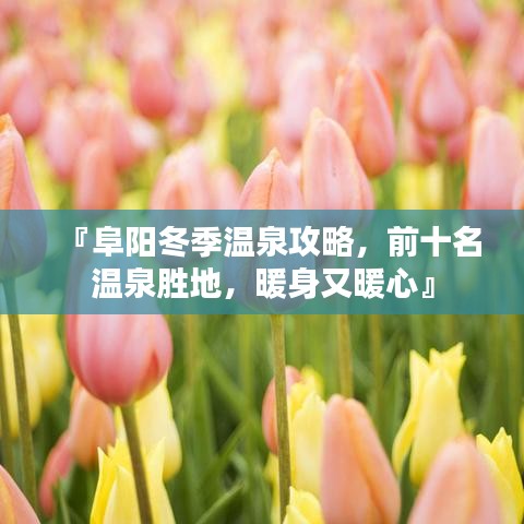 『阜阳冬季温泉攻略，前十名温泉胜地，暖身又暖心』