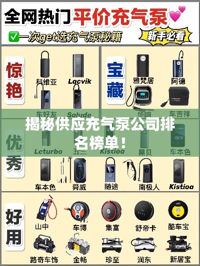 揭秘供应充气泵公司排名榜单！