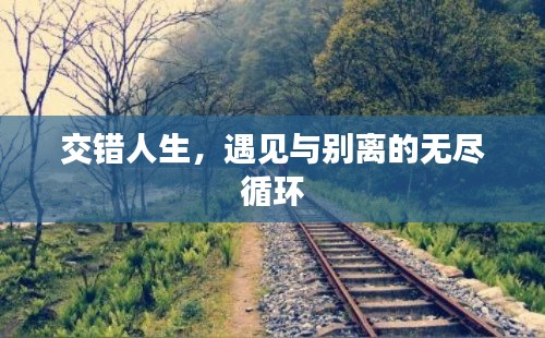 交错人生，遇见与别离的无尽循环
