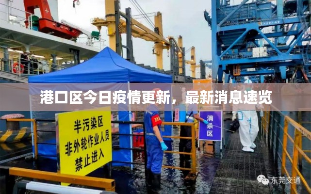 港口区今日疫情更新，最新消息速览