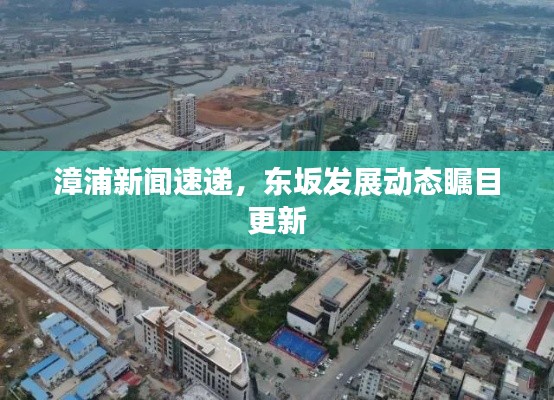 漳浦新闻速递，东坂发展动态瞩目更新