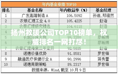 扬州救援公司TOP10榜单，权威排名一网打尽！