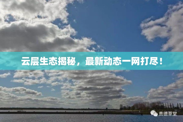 云层生态揭秘，最新动态一网打尽！