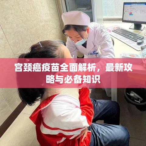 宫颈癌疫苗全面解析，最新攻略与必备知识