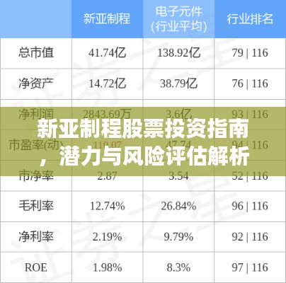 新亚制程股票投资指南，潜力与风险评估解析