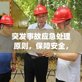 突发事故应急处理原则，保障安全，迅速响应，科学处置