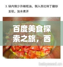 百度美食探索之旅，西红柿鱼之美味探秘