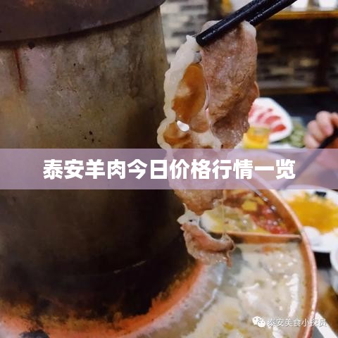 泰安羊肉今日价格行情一览