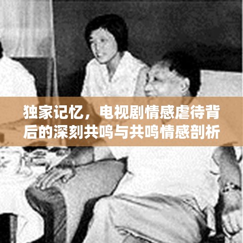 独家记忆，电视剧情感虐待背后的深刻共鸣与共鸣情感剖析