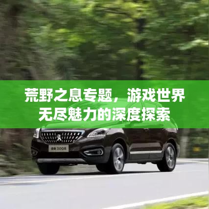 荒野之息专题，游戏世界无尽魅力的深度探索