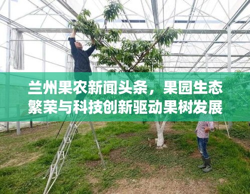 兰州果农新闻头条，果园生态繁荣与科技创新驱动果树发展之路