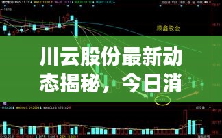 川云股份最新动态揭秘，今日消息一网打尽！