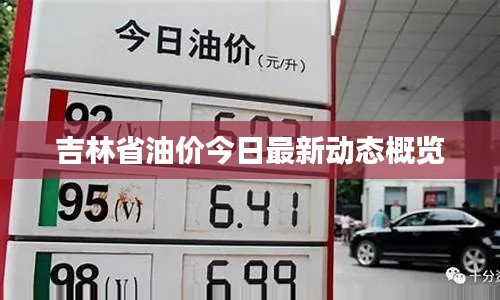 吉林省油价今日最新动态概览