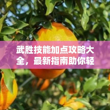 武胜技能加点攻略大全，最新指南助你轻松掌握！
