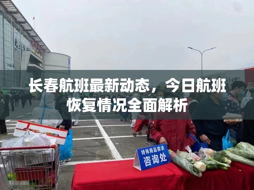 长春航班最新动态，今日航班恢复情况全面解析