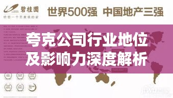 夸克公司行业地位及影响力深度解析，排名背后的实力与影响力揭秘
