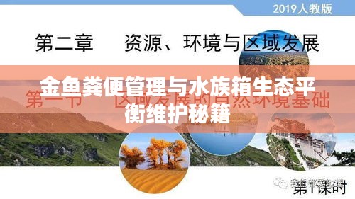 金鱼粪便管理与水族箱生态平衡维护秘籍