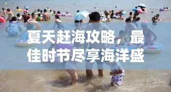 夏天赶海攻略，最佳时节尽享海洋盛宴！