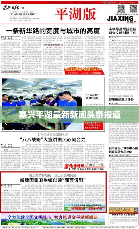 嘉兴平湖最新新闻头条报道