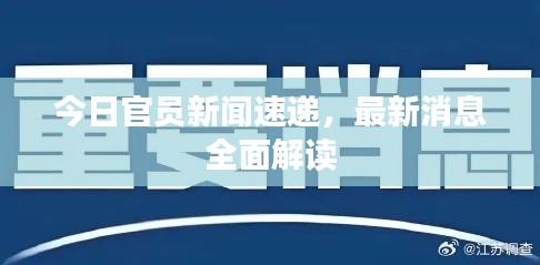 今日官员新闻速递，最新消息全面解读